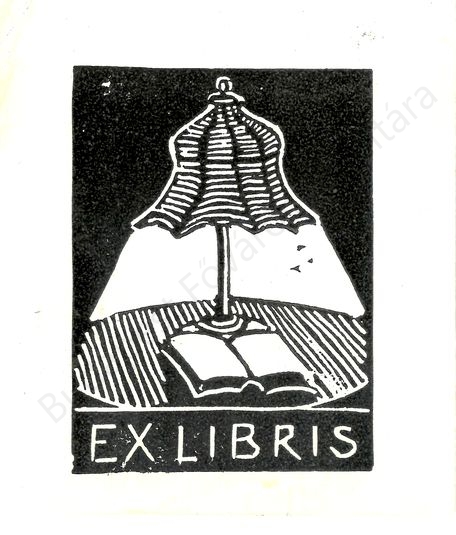 Rajna György metszet